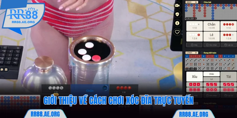 Cách Chơi Xóc Đĩa RR88 Chuẩn Xác Nhất Cho Người Mới Bắt Đầu 6 Giới thiệu về cách chơi Xóc đĩa trực tuyến tại RR88