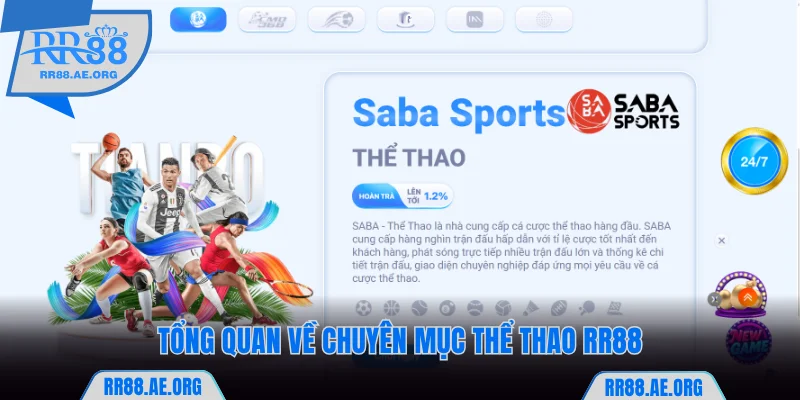 Tổng quan cơ bản về chuyên mục thể thao RR88